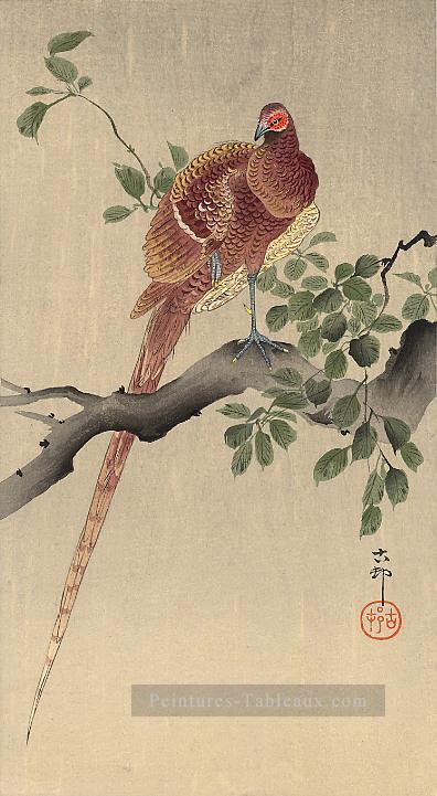 Faisan sur branche Ohara KOSON Shin Hanga Peintures à l'huile